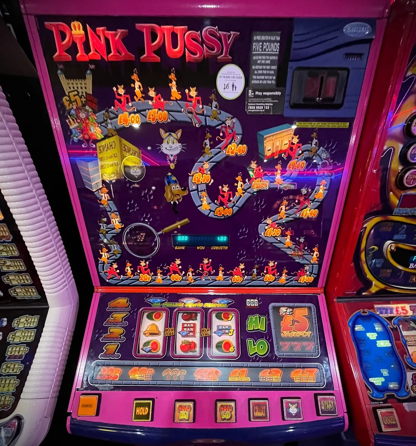 pink pussy fruit machine by MDM