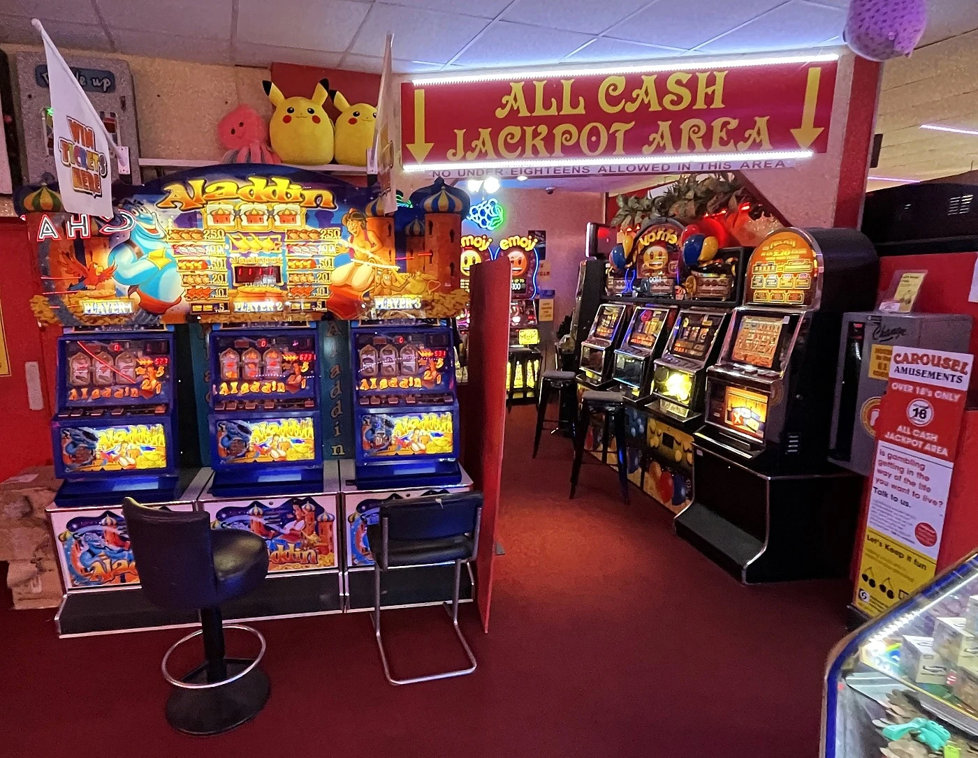 carousel amusements adult gaming area