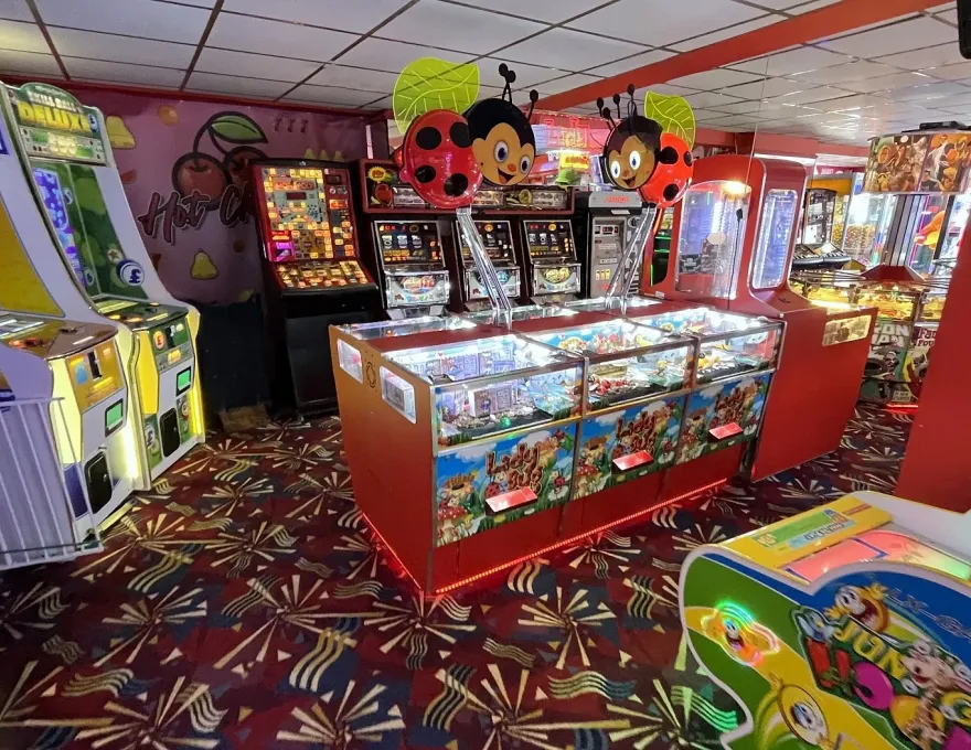 lady bug coin pusher