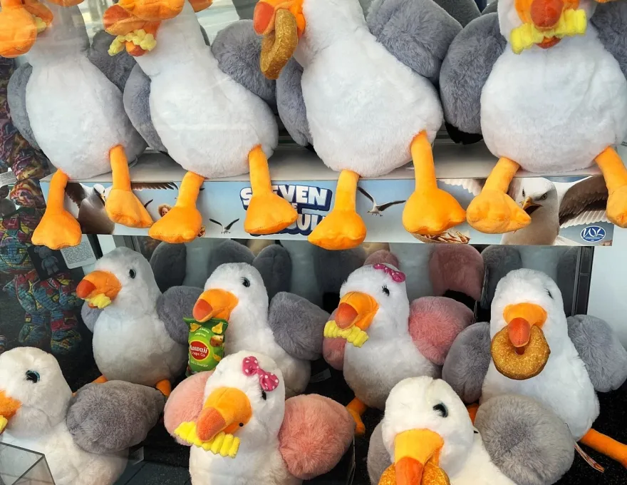 steven the seagull claw machine prizes