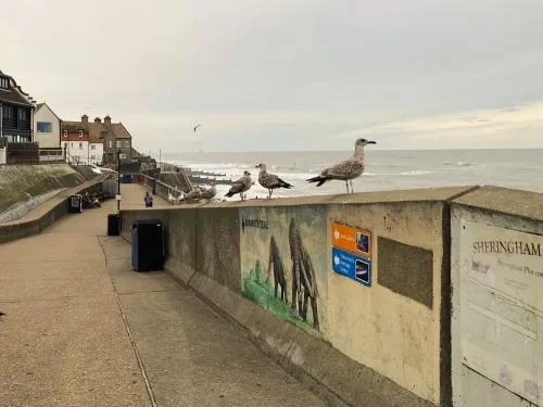 sheringham beach attractions